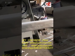 Z Katlama El Havlusu için Otomatik Kağıt Havlu Paketi Paketleme Makinesi